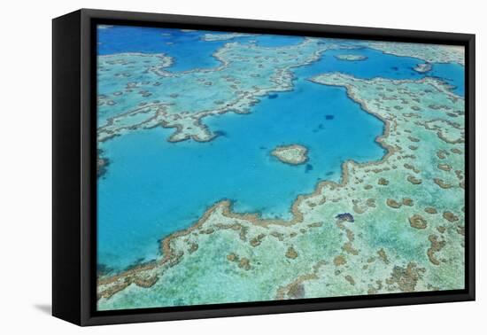 Aerial View of Heart Reef, Great Barrier Reef, Queensland, Australia-Peter Adams-Framed Premier Image Canvas