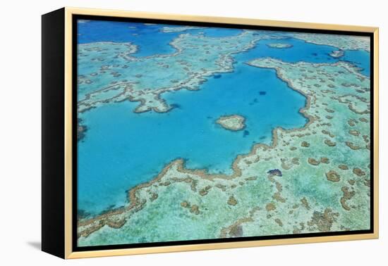 Aerial View of Heart Reef, Great Barrier Reef, Queensland, Australia-Peter Adams-Framed Premier Image Canvas