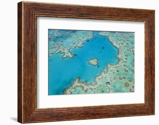 Aerial View of Heart Reef, Great Barrier Reef, Queensland, Australia-Peter Adams-Framed Photographic Print