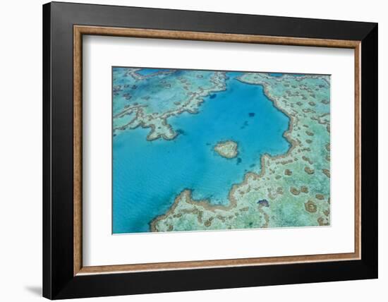 Aerial View of Heart Reef, Great Barrier Reef, Queensland, Australia-Peter Adams-Framed Photographic Print