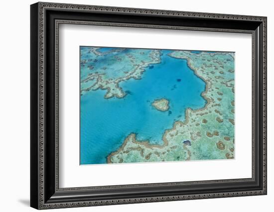 Aerial View of Heart Reef, Great Barrier Reef, Queensland, Australia-Peter Adams-Framed Photographic Print