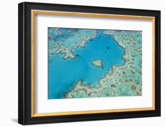 Aerial View of Heart Reef, Great Barrier Reef, Queensland, Australia-Peter Adams-Framed Photographic Print