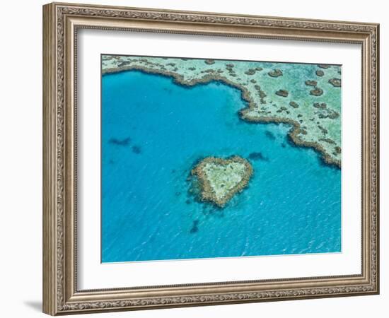 Aerial View of Heart Reef, Part of Great Barrier Reef, Queensland, Australia-Peter Adams-Framed Photographic Print