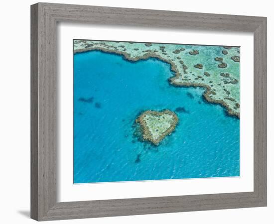 Aerial View of Heart Reef, Part of Great Barrier Reef, Queensland, Australia-Peter Adams-Framed Photographic Print