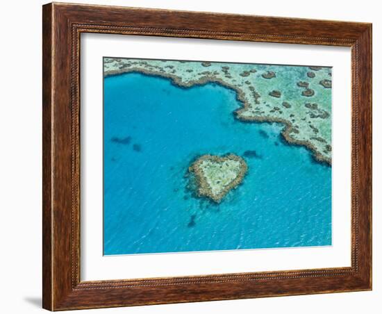 Aerial View of Heart Reef, Part of Great Barrier Reef, Queensland, Australia-Peter Adams-Framed Photographic Print