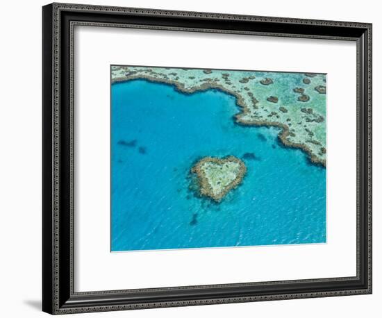 Aerial View of Heart Reef, Part of Great Barrier Reef, Queensland, Australia-Peter Adams-Framed Photographic Print