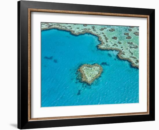 Aerial View of Heart Reef, Part of Great Barrier Reef, Queensland, Australia-Peter Adams-Framed Photographic Print