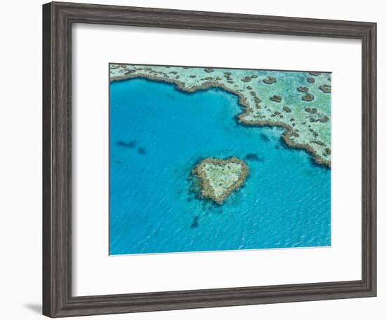 Aerial View of Heart Reef, Part of Great Barrier Reef, Queensland, Australia-Peter Adams-Framed Photographic Print