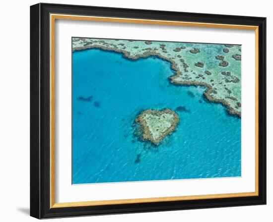 Aerial View of Heart Reef, Part of Great Barrier Reef, Queensland, Australia-Peter Adams-Framed Photographic Print