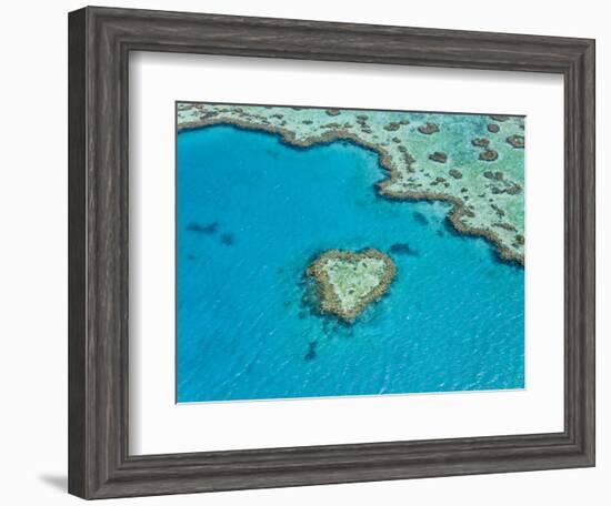 Aerial View of Heart Reef, Part of Great Barrier Reef, Queensland, Australia-Peter Adams-Framed Photographic Print