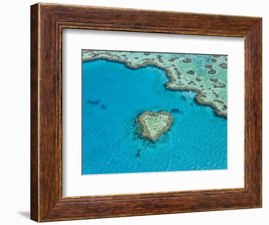 Aerial View of Heart Reef, Part of Great Barrier Reef, Queensland, Australia-Peter Adams-Framed Photographic Print