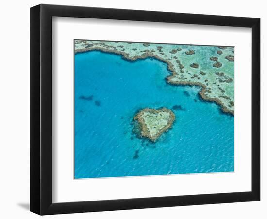 Aerial View of Heart Reef, Part of Great Barrier Reef, Queensland, Australia-Peter Adams-Framed Photographic Print