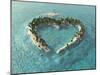 Aerial View Of Heart-Shaped Tropical Island-Mike_Kiev-Mounted Art Print