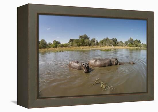 Aerial View of Hippo Pond, Moremi Game Reserve, Botswana-Paul Souders-Framed Premier Image Canvas