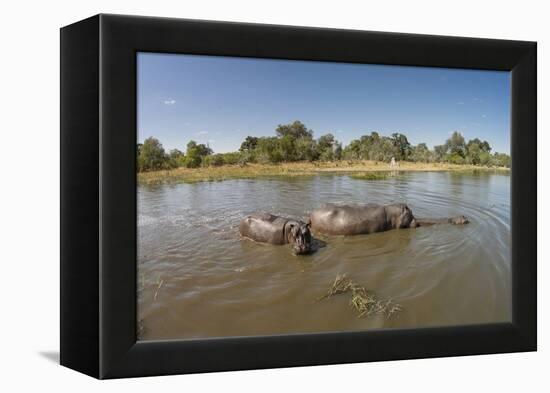 Aerial View of Hippo Pond, Moremi Game Reserve, Botswana-Paul Souders-Framed Premier Image Canvas