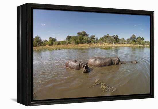 Aerial View of Hippo Pond, Moremi Game Reserve, Botswana-Paul Souders-Framed Premier Image Canvas