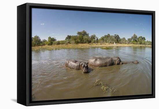 Aerial View of Hippo Pond, Moremi Game Reserve, Botswana-Paul Souders-Framed Premier Image Canvas