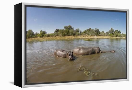 Aerial View of Hippo Pond, Moremi Game Reserve, Botswana-Paul Souders-Framed Premier Image Canvas