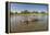 Aerial View of Hippo Pond, Moremi Game Reserve, Botswana-Paul Souders-Framed Premier Image Canvas