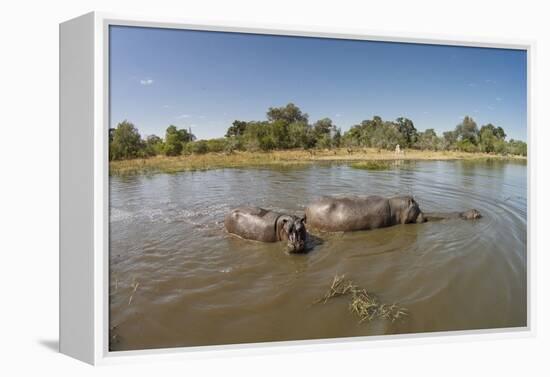 Aerial View of Hippo Pond, Moremi Game Reserve, Botswana-Paul Souders-Framed Premier Image Canvas