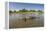 Aerial View of Hippo Pond, Moremi Game Reserve, Botswana-Paul Souders-Framed Premier Image Canvas