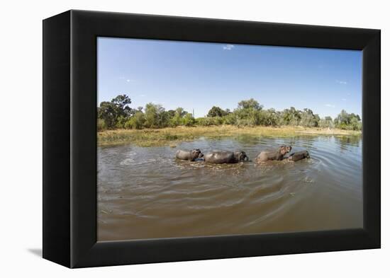 Aerial View of Hippo Pond, Moremi Game Reserve, Botswana-Paul Souders-Framed Premier Image Canvas