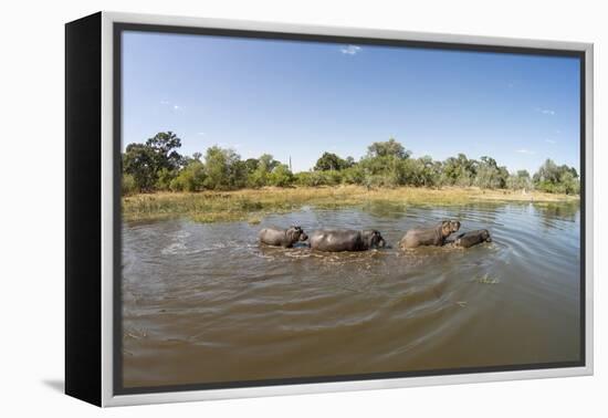 Aerial View of Hippo Pond, Moremi Game Reserve, Botswana-Paul Souders-Framed Premier Image Canvas