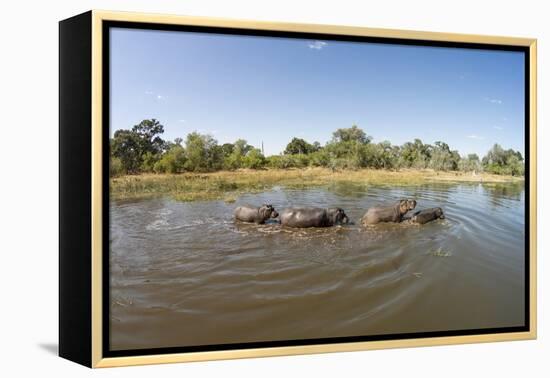 Aerial View of Hippo Pond, Moremi Game Reserve, Botswana-Paul Souders-Framed Premier Image Canvas