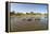 Aerial View of Hippo Pond, Moremi Game Reserve, Botswana-Paul Souders-Framed Premier Image Canvas