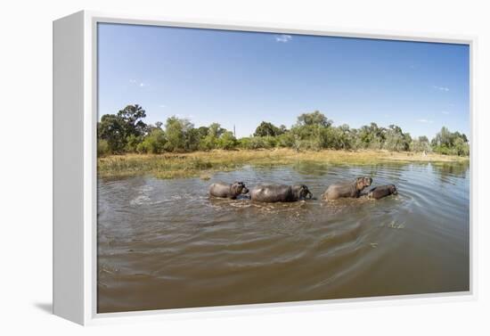 Aerial View of Hippo Pond, Moremi Game Reserve, Botswana-Paul Souders-Framed Premier Image Canvas