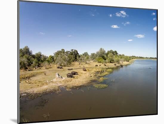 Aerial View of Hippo Pond, Moremi Game Reserve, Botswana-Paul Souders-Mounted Photographic Print