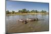 Aerial View of Hippo Pond, Moremi Game Reserve, Botswana-Paul Souders-Mounted Photographic Print