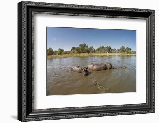 Aerial View of Hippo Pond, Moremi Game Reserve, Botswana-Paul Souders-Framed Photographic Print