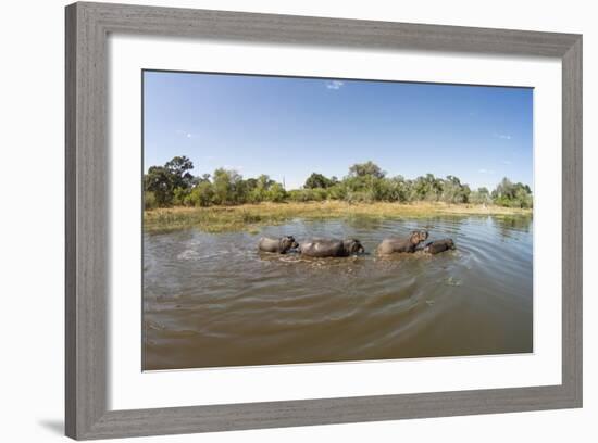 Aerial View of Hippo Pond, Moremi Game Reserve, Botswana-Paul Souders-Framed Photographic Print