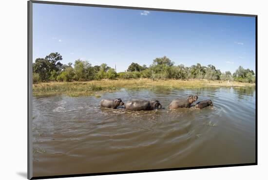 Aerial View of Hippo Pond, Moremi Game Reserve, Botswana-Paul Souders-Mounted Photographic Print