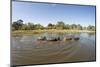 Aerial View of Hippo Pond, Moremi Game Reserve, Botswana-Paul Souders-Mounted Photographic Print