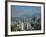 Aerial View of Hong Kong Harbour, China-Fraser Hall-Framed Photographic Print