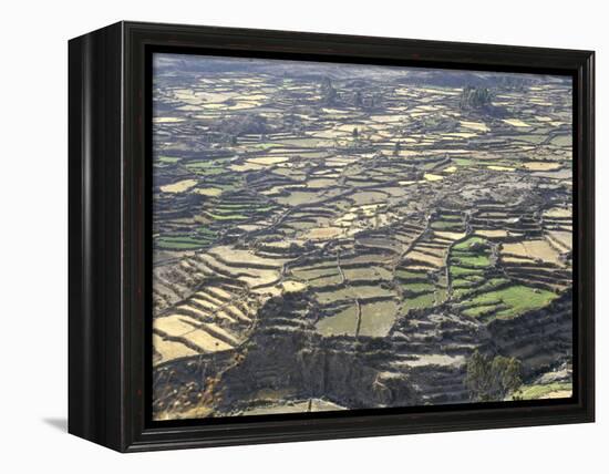 Aerial View of Inca Terraces, Colca Canyon, Chivay, Peru, South America-Christopher Rennie-Framed Premier Image Canvas