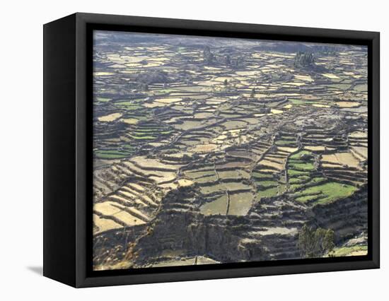 Aerial View of Inca Terraces, Colca Canyon, Chivay, Peru, South America-Christopher Rennie-Framed Premier Image Canvas