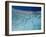 Aerial view of island, French Polynesia-Panoramic Images-Framed Photographic Print