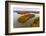 Aerial view of islands on lake, Stephen A. Forbes State Park, Marion Co., Illinois, USA-Panoramic Images-Framed Photographic Print