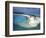 Aerial View of Lighthouse Reef, Belize-Greg Johnston-Framed Photographic Print