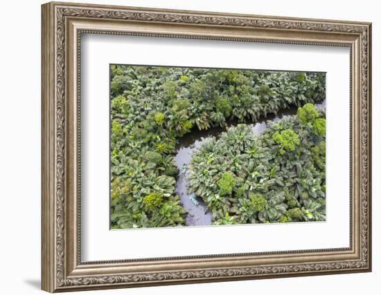 Aerial view of mangrove forest, Republic of Congo-Eric Baccega-Framed Photographic Print