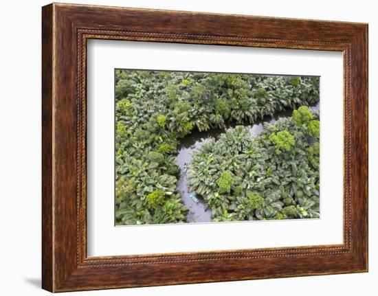 Aerial view of mangrove forest, Republic of Congo-Eric Baccega-Framed Photographic Print