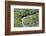 Aerial view of mangrove forest, Republic of Congo-Eric Baccega-Framed Photographic Print