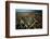 aerial view of Melbourne, cityscape and rooftops, Australia-John Gollings-Framed Photo