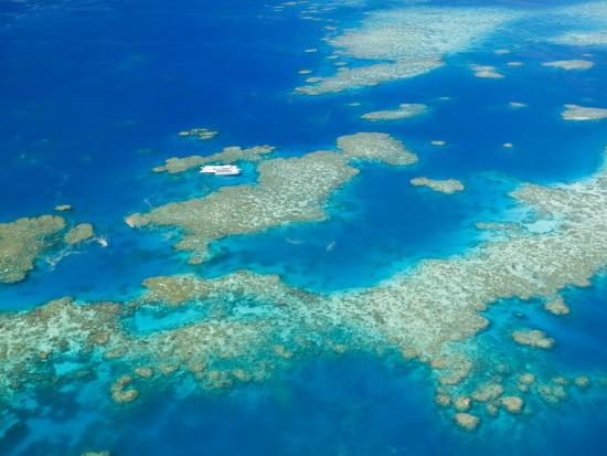 'Aerial View of Moore Reef, The Great Barrier Reef, Cairns Area, North ...