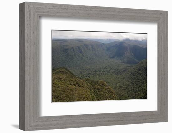 Aerial View of Mountainous Rainforest in Guyana, South America-Mick Baines & Maren Reichelt-Framed Photographic Print