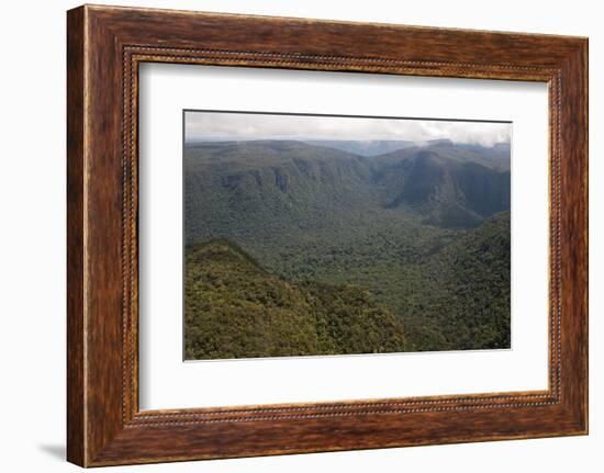 Aerial View of Mountainous Rainforest in Guyana, South America-Mick Baines & Maren Reichelt-Framed Photographic Print