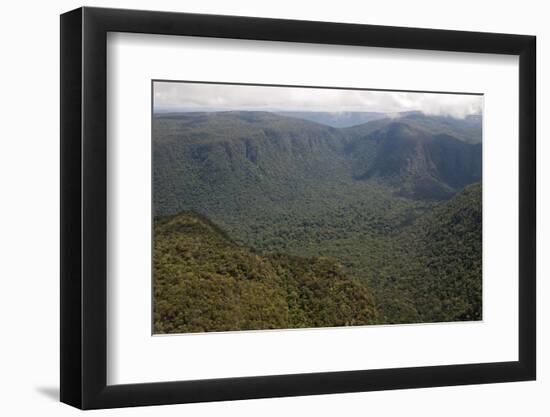 Aerial View of Mountainous Rainforest in Guyana, South America-Mick Baines & Maren Reichelt-Framed Photographic Print